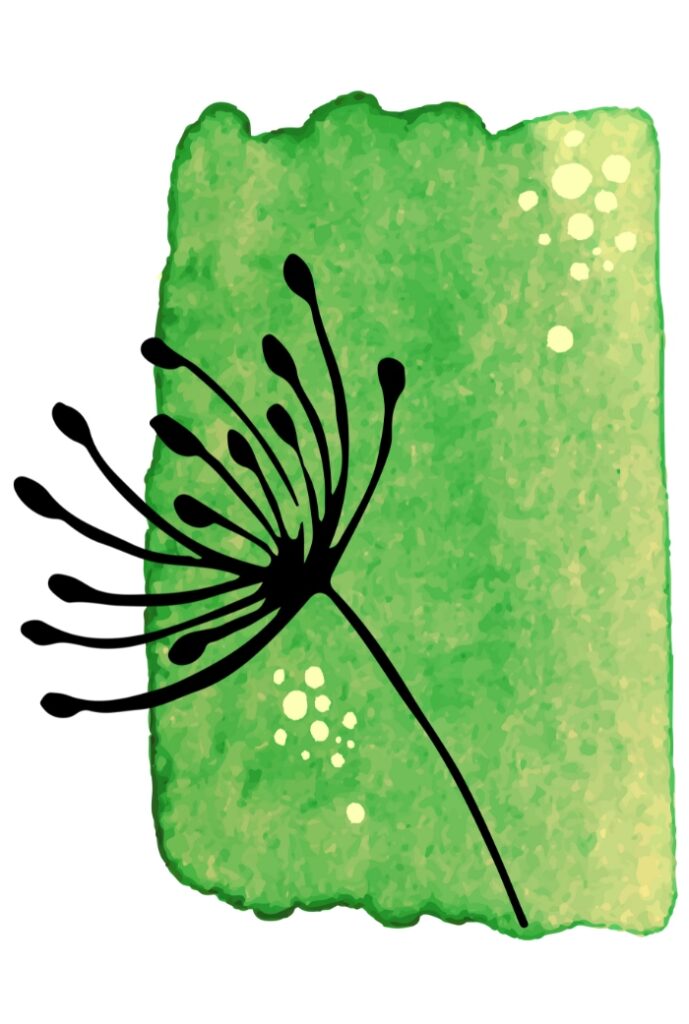 green watercolor dandelion inked over